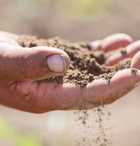 Nahaufnahme der Hand eines Landwirts, die Erde hält