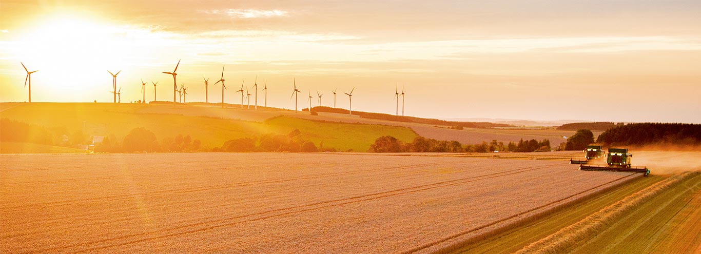 Zwei Mähdrescher bei der Arbeit auf einem Feld mit einer Windmühle in der Ferne