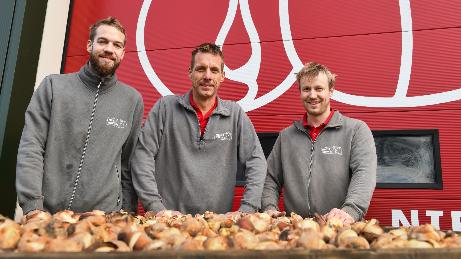 Tulpen Teamwork