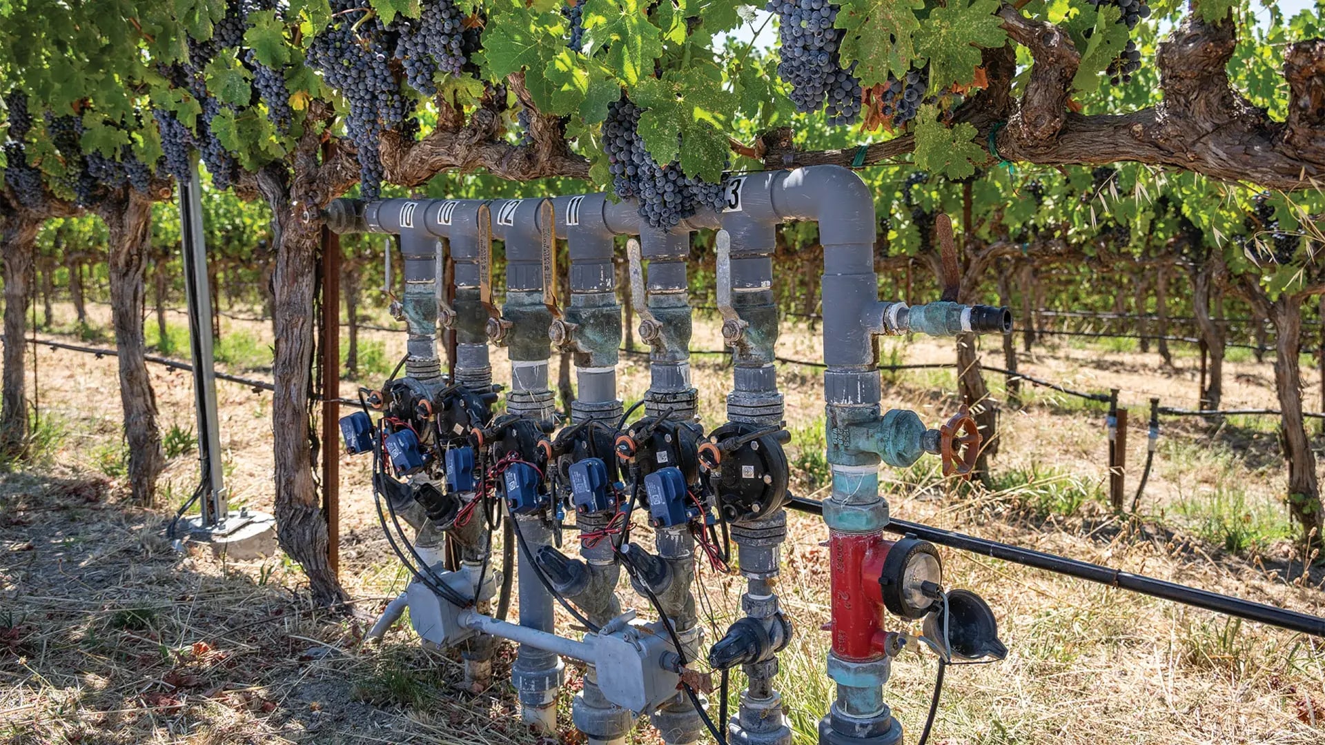 Aux États-Unis, des algorithmes pour piloter l’irrigation