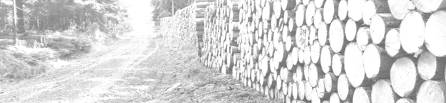 Stapel von Baumstämmen
