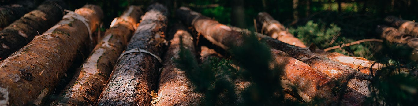 logs at the roadside