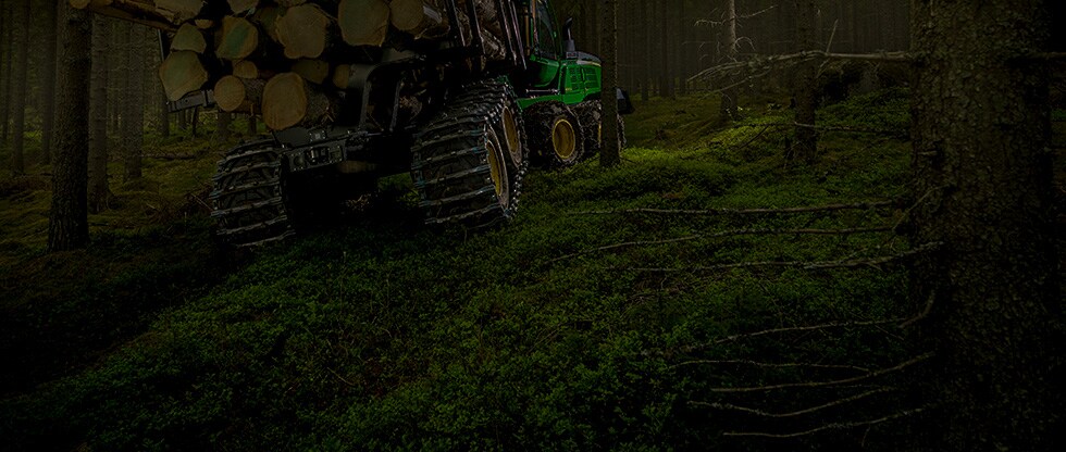Wald
