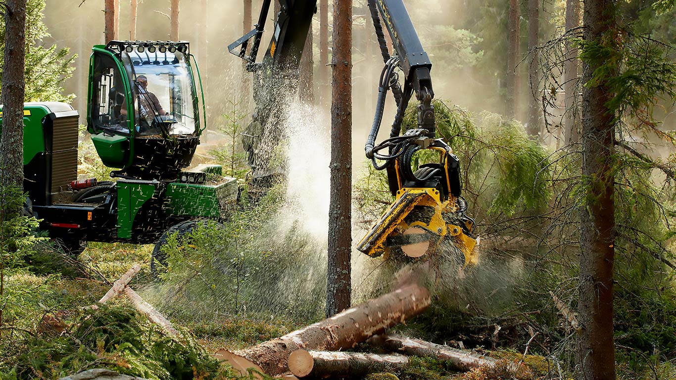 Abatteuse et tête d'abattage travaillent