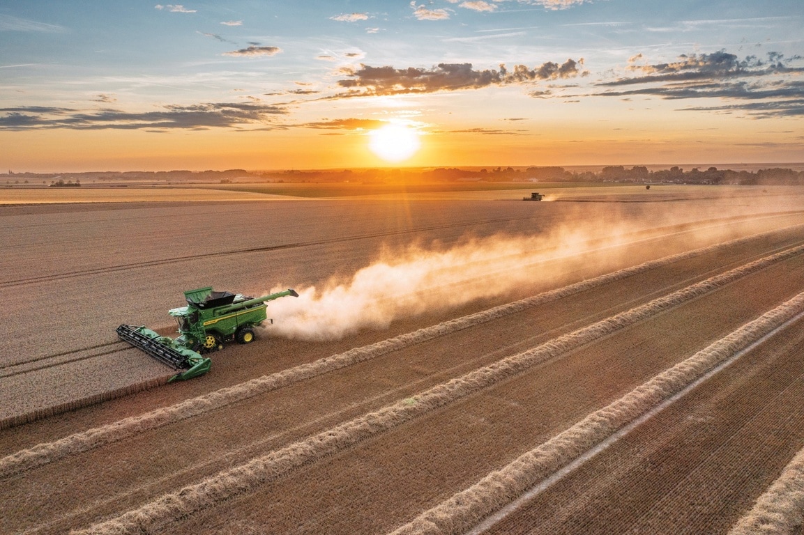 Mähdrescher erntet Weizen bei Sonnenuntergang mit langen Staubspuren über weitläufige Ackerlandschaft