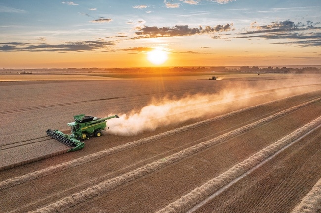 Mähdrescher erntet Weizen bei Sonnenuntergang mit langen Staubspuren über weitläufige Ackerlandschaft
