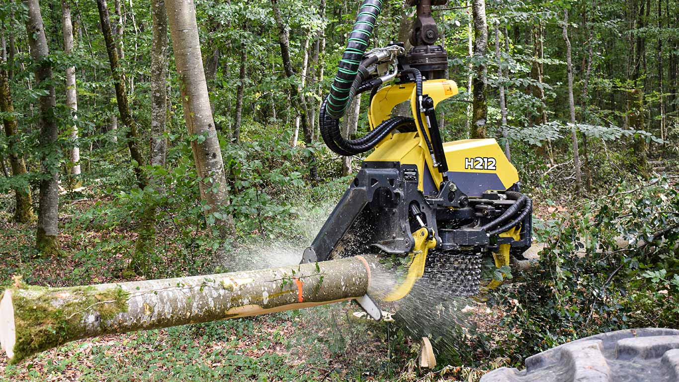 Harvesteraggregat im Wald