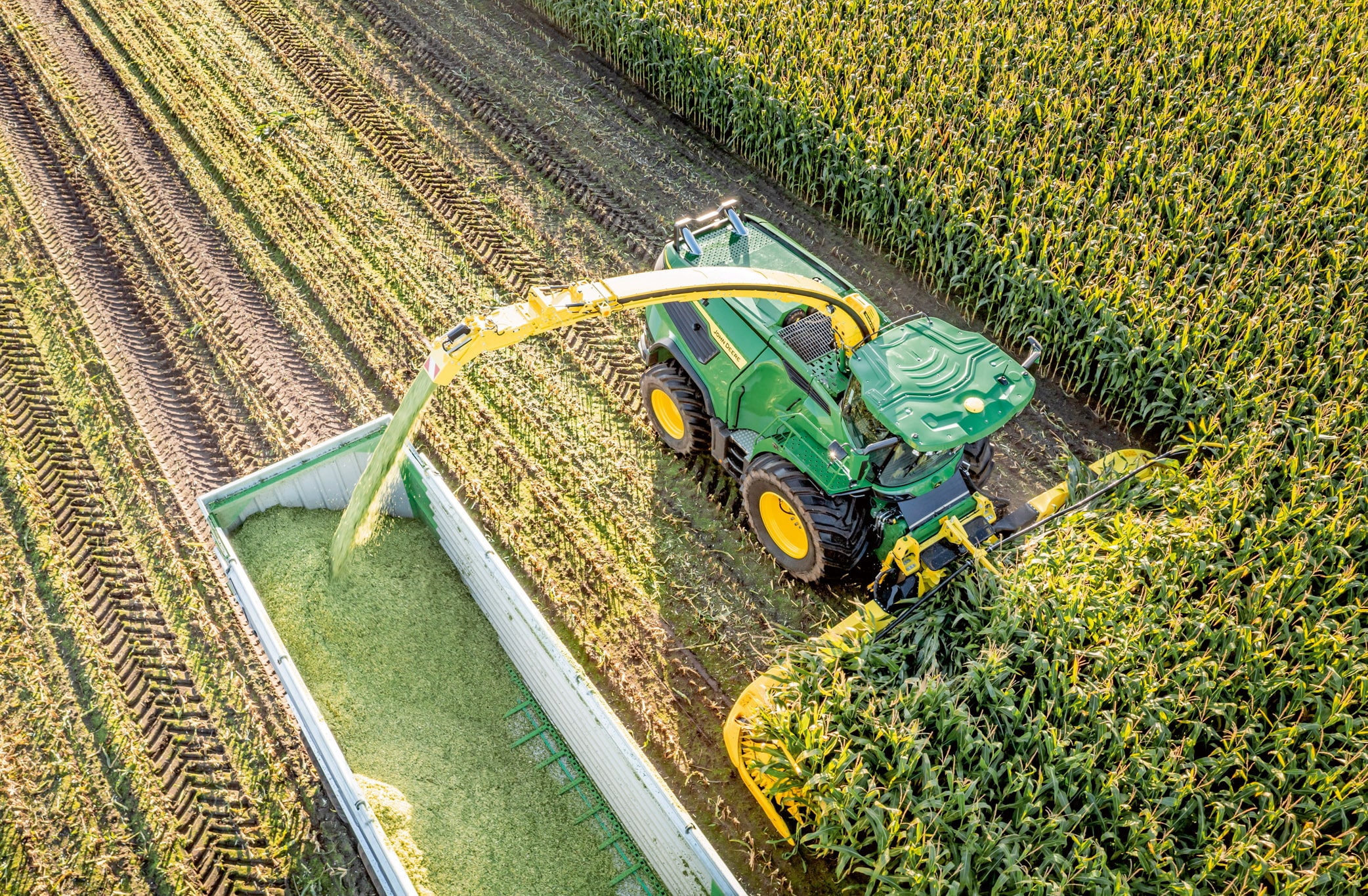 Vue aérienne d’une ensileuse John Deere verte récoltant du maïs et transférant l’ensilage haché dans une remorque dans un grand champ de maïs.